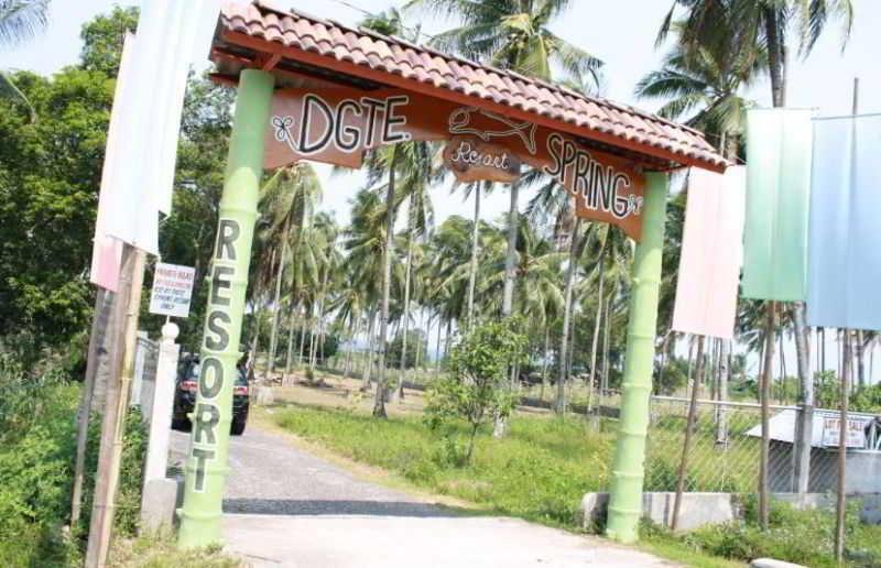 Dumaguete Springs Beach Resort 杜马格特 外观 照片