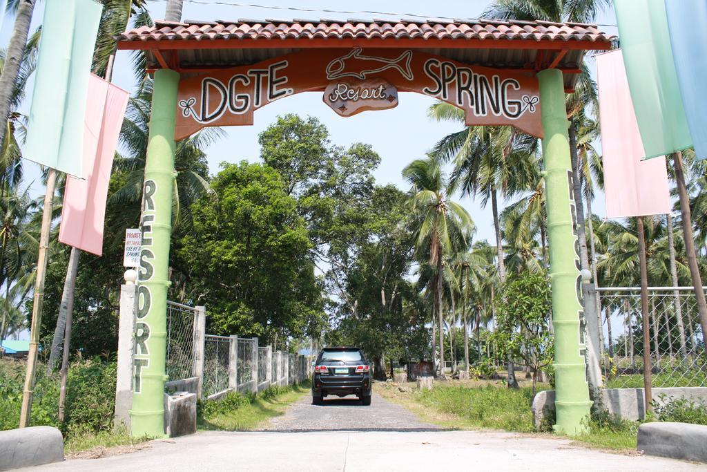 Dumaguete Springs Beach Resort 杜马格特 外观 照片